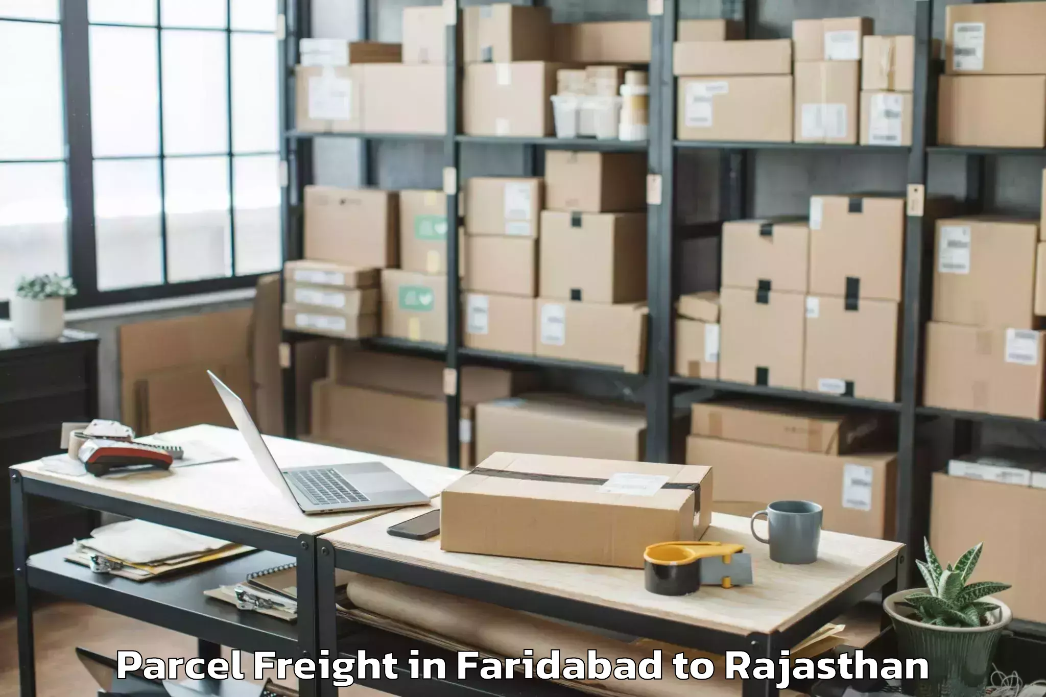 Expert Faridabad to Singhania University Jhunjhunu Parcel Freight